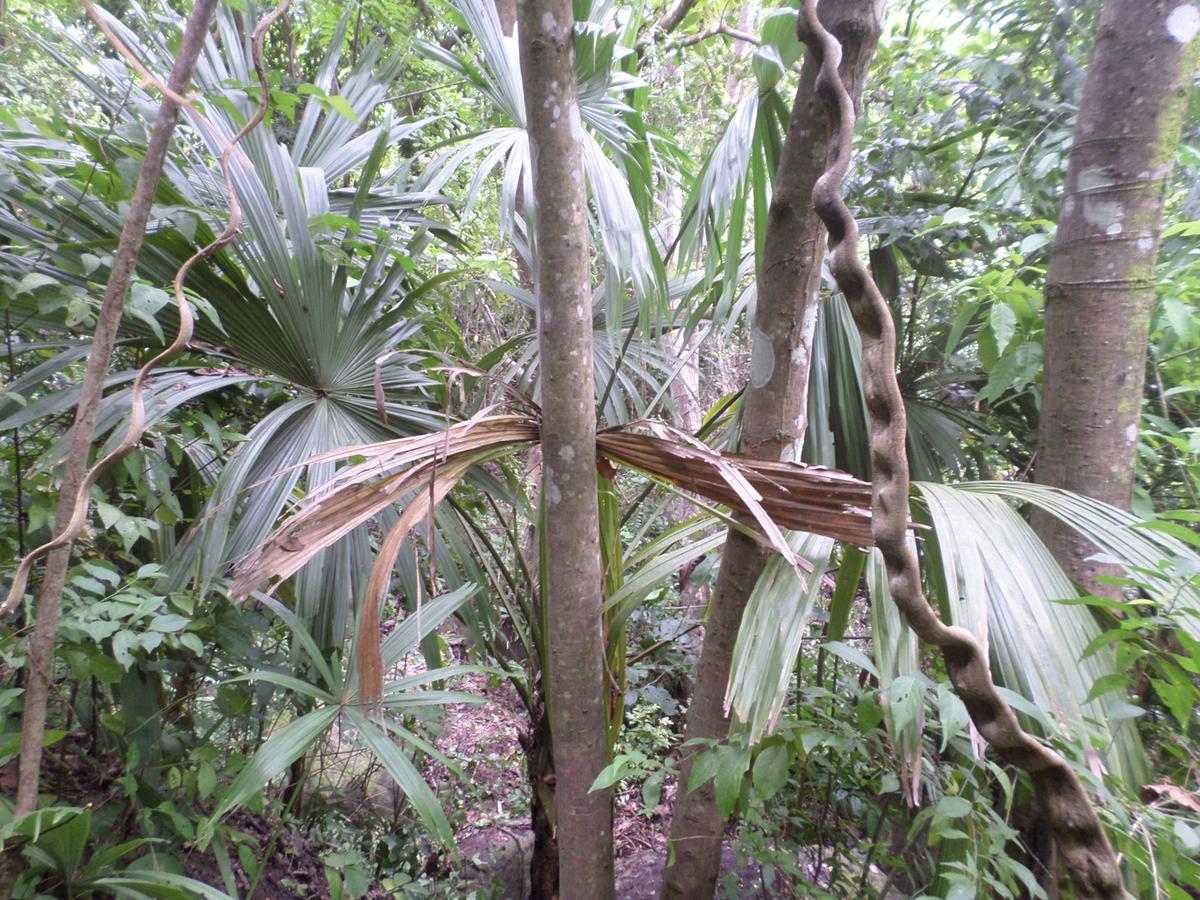 Las Mañanitas de la Sierra Zaino Exterior foto